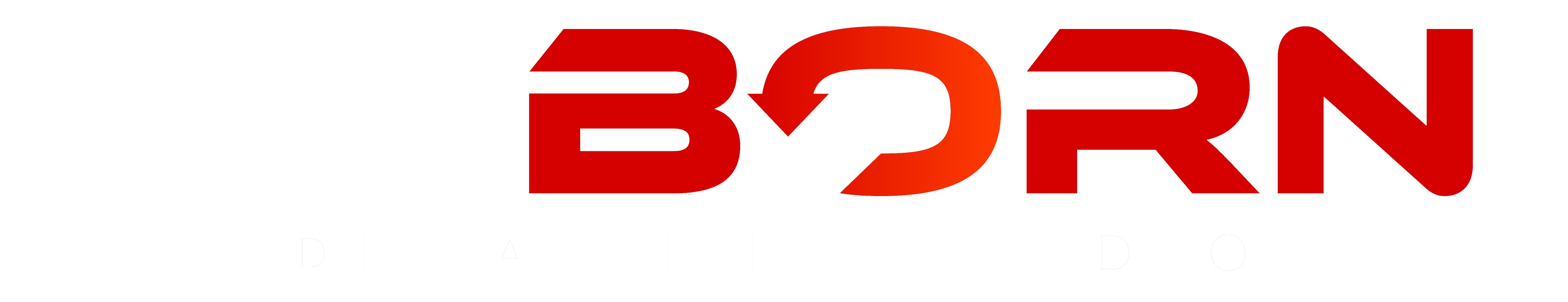 Reborn Detailing Studio